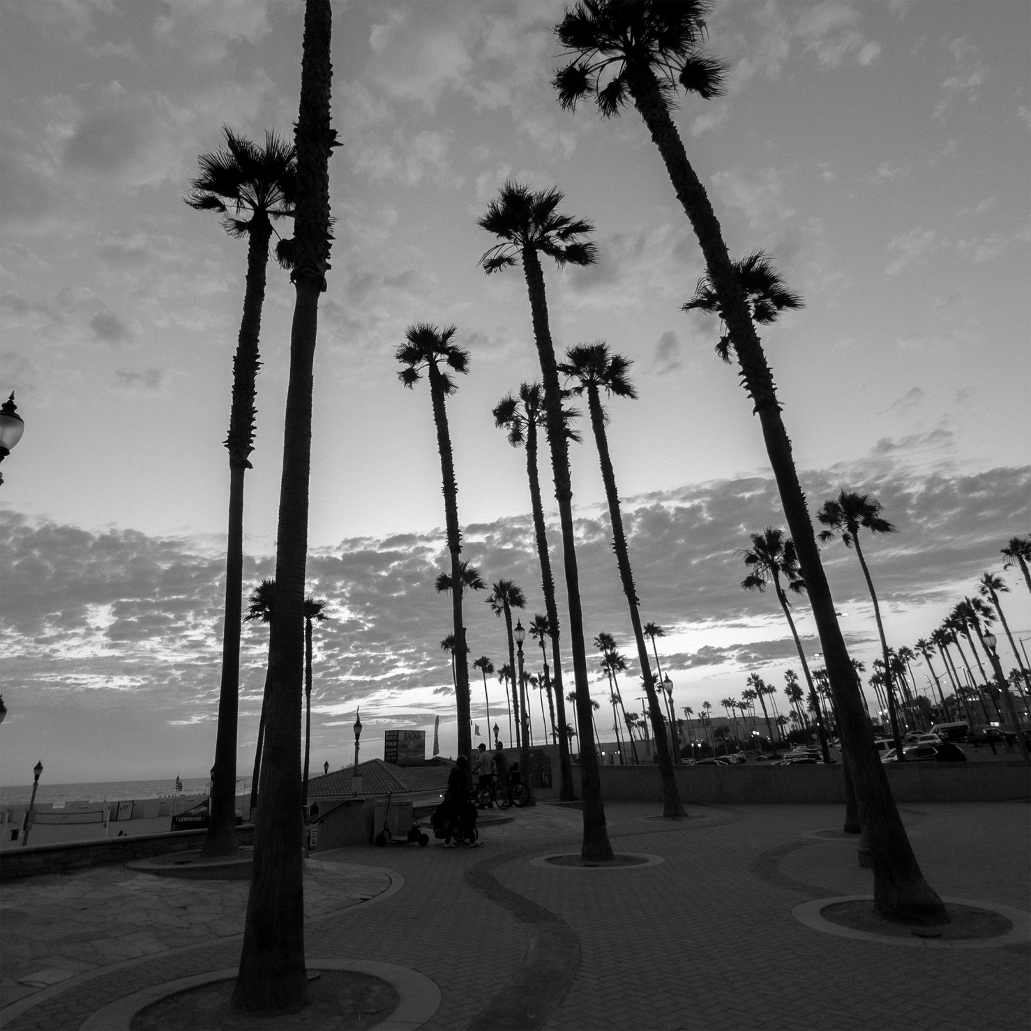 Moment T-Series Wide 18mm Mobile Lens