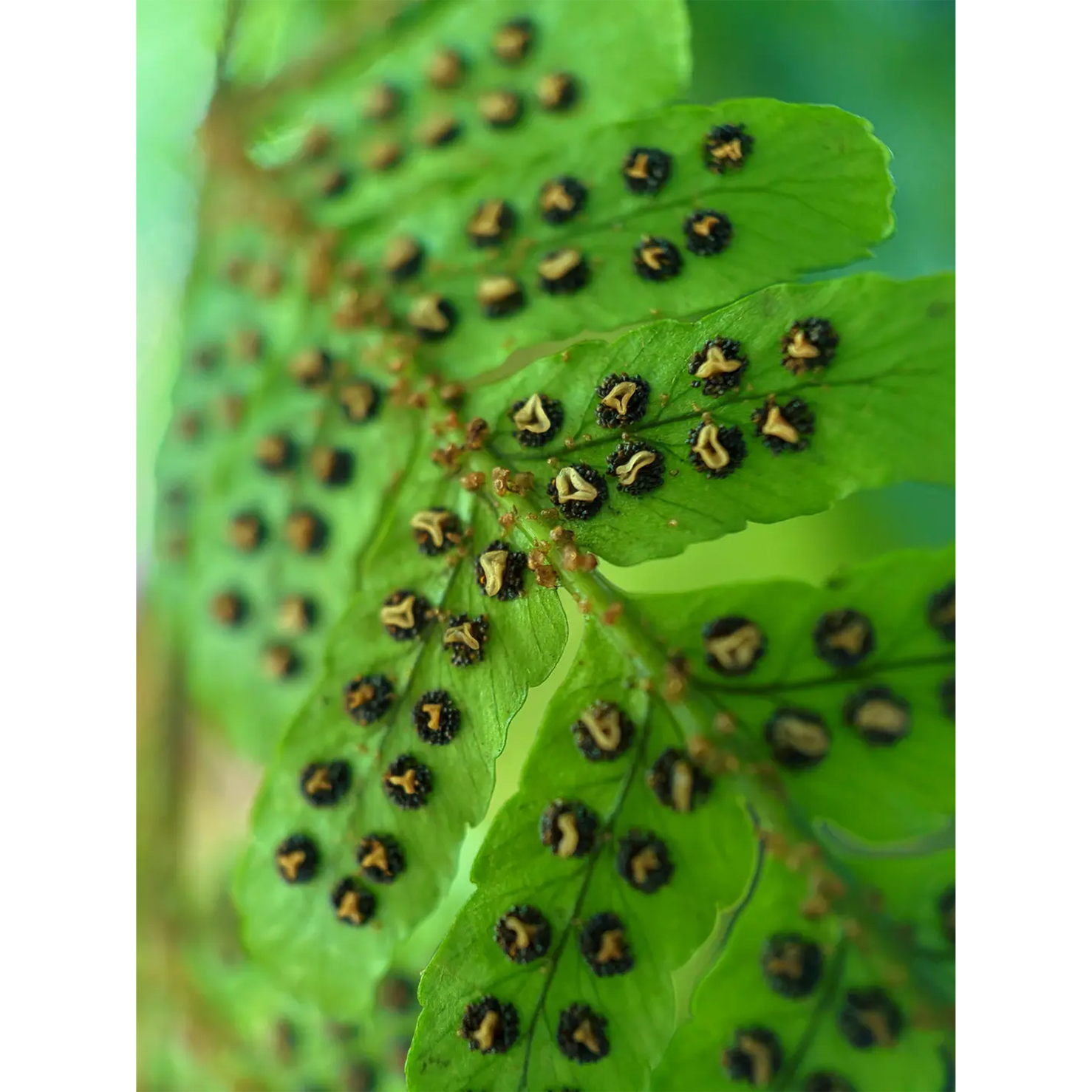 Shot by @katiejmcgregor