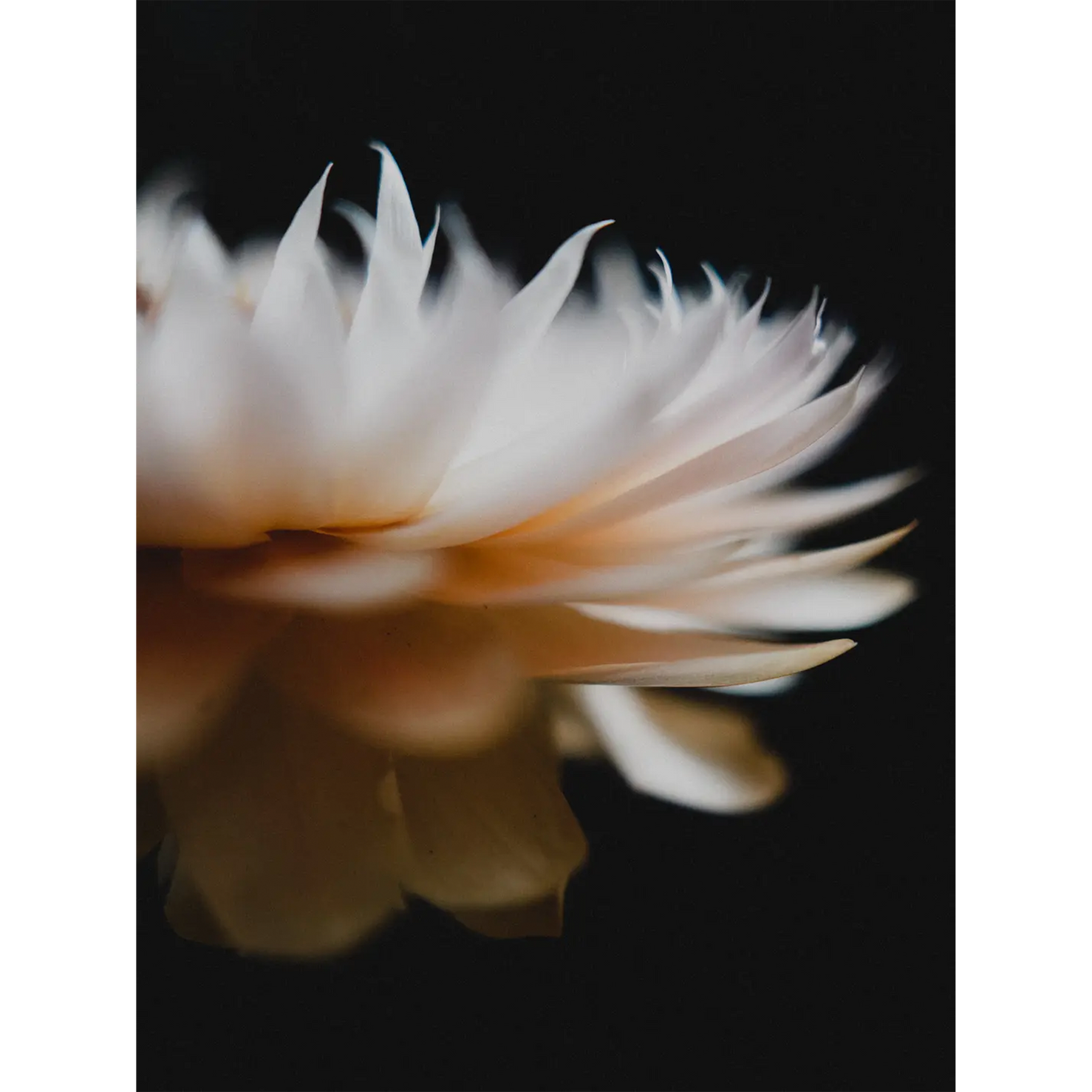 Shot by @taylorpendleton